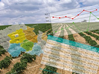 Elaboration of economic analyses from selected fields of agricultural production